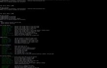 php-unit-terminal-version